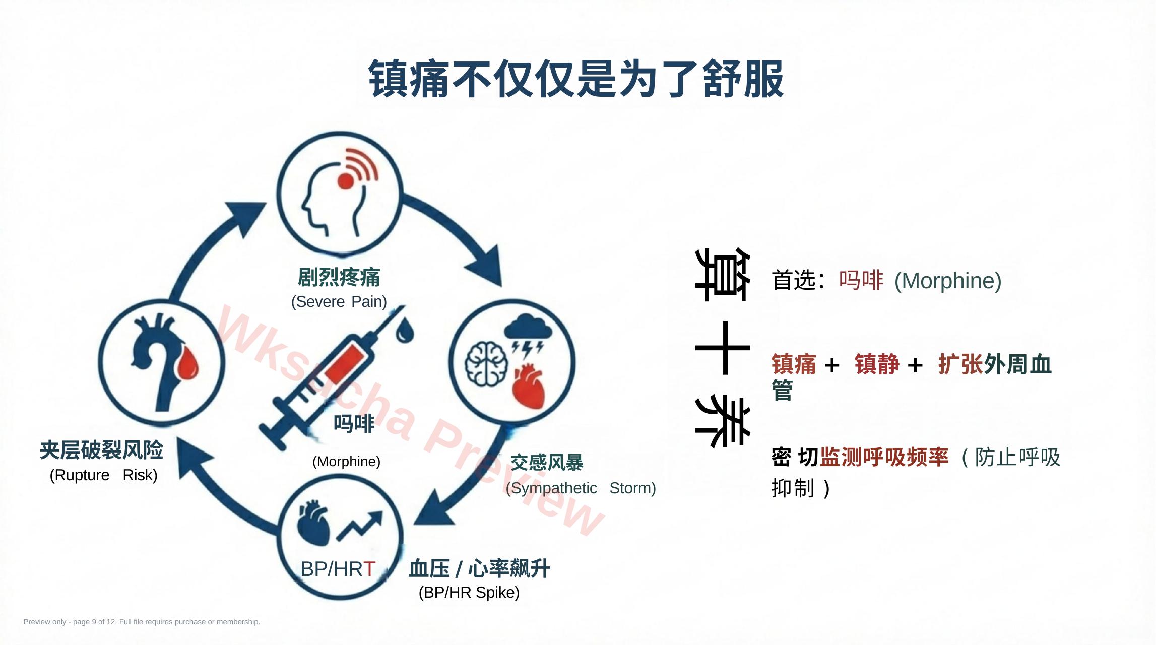 预览第 9 页
