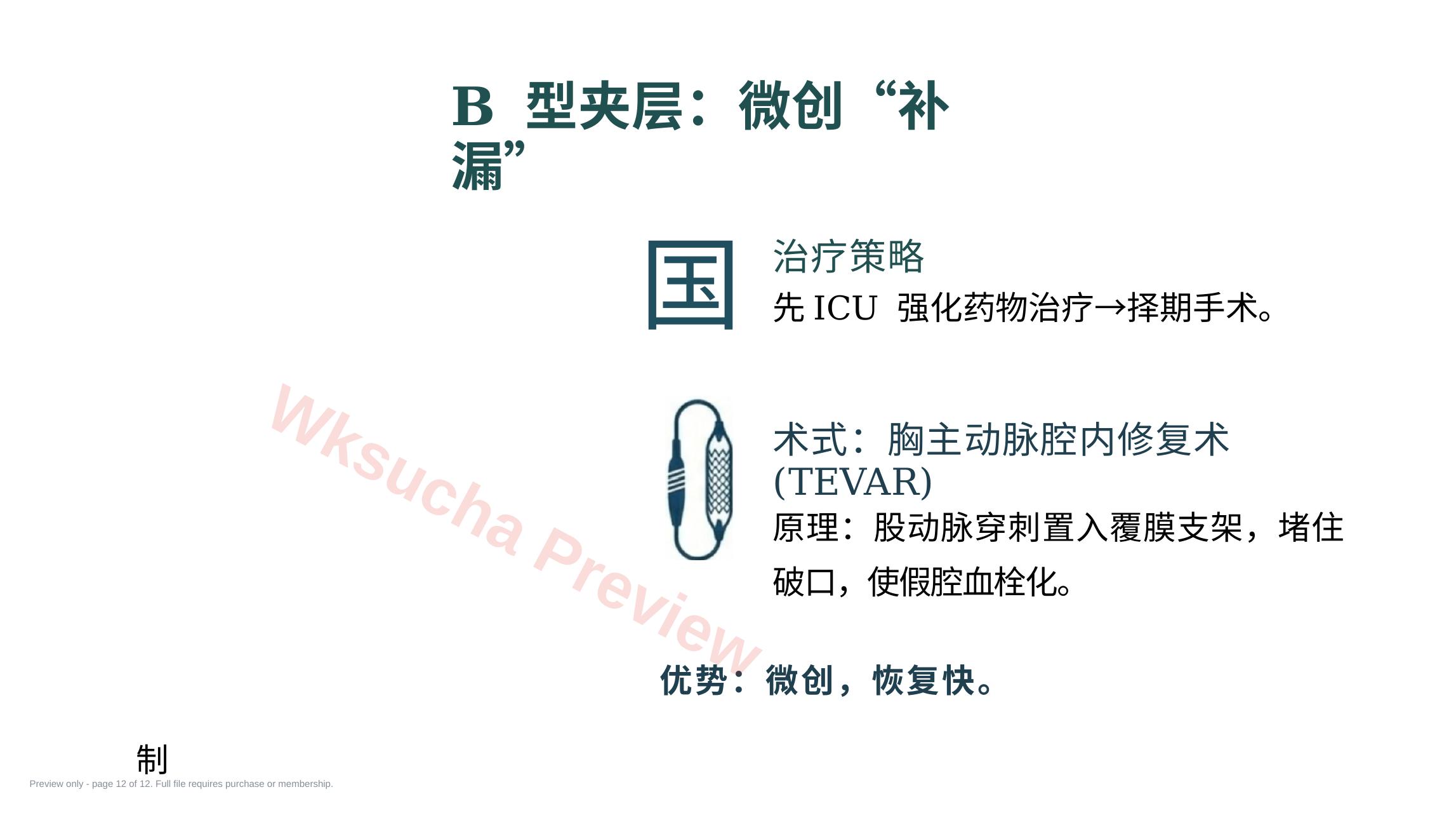 预览第 12 页